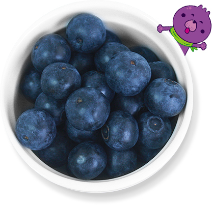 ブルーベリーの画像